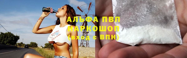 PSILOCYBIN Дмитриев
