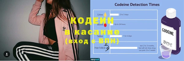 ешки Гусь-Хрустальный