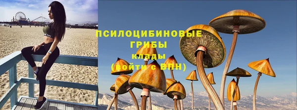 ешки Гусь-Хрустальный